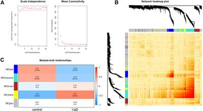 Identification of TLR2 as a Key Target in Neuroinflammation in Vascular Dementia